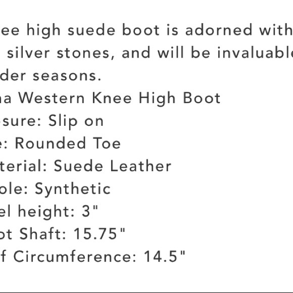 NIB Sam Edelman Oma Knee High Suede Boot fashion fall winter heels - Picture 6 of 6